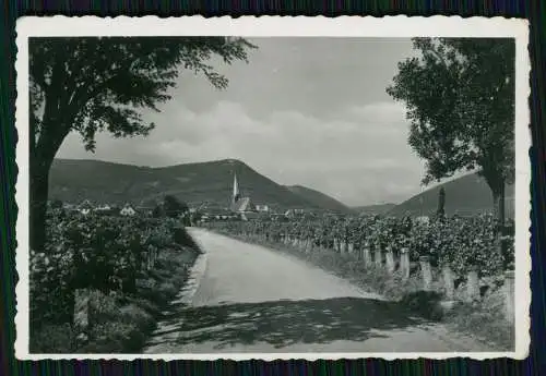 21x Foto Maikammer Rhodt St. Martin Weinstraße Annweiler Neustadt Hambach Pfalz