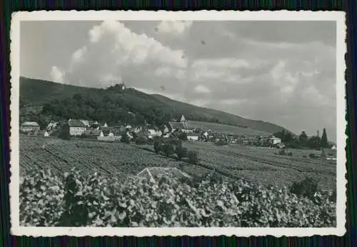 21x Foto Maikammer Rhodt St. Martin Weinstraße Annweiler Neustadt Hambach Pfalz