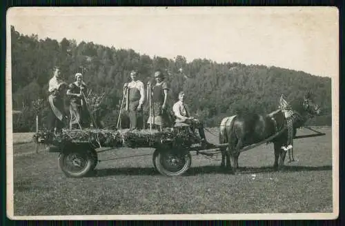 5x Foto Bauern Křižany Kriesdorf Ještěd Ještědský potok Okres Liberec Tschechien