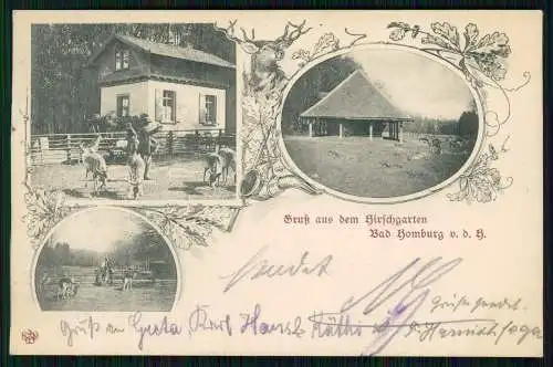 AK Bad Homburg vor der Höhe Hessen Hirschgarten Fütterung Gehege 1907 gelaufen