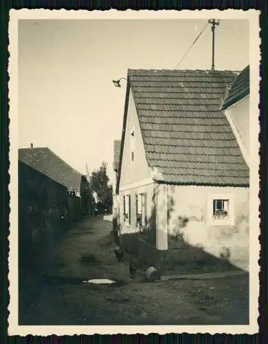 Foto Montabaur im Westerwald Kleine Gasse mit Hühner und Häuser 1935