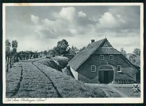 alte AK Nordfriesland, Ostfriesland hinterm Deich, Reetdachhaus Bauernhaus