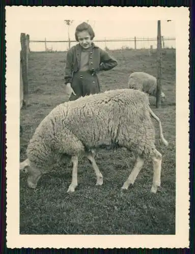 14x Foto Jesberg Hessen Schwalm-Eder Winter Frühjahr auf der Jagd uvm. 1938-39