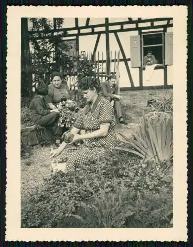 14x Foto Jesberg Hessen Schwalm-Eder Winter Frühjahr auf der Jagd uvm. 1938-39