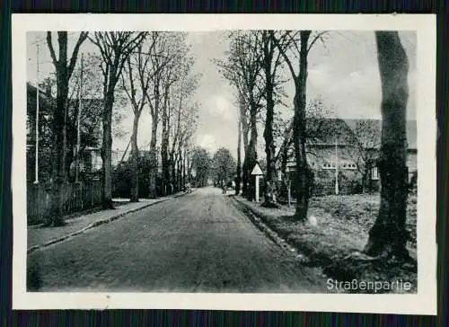 6x Schwei in Oldenburg Stadland Niedersachsen, Hotel zum Bahnhof, Kirche, Schule