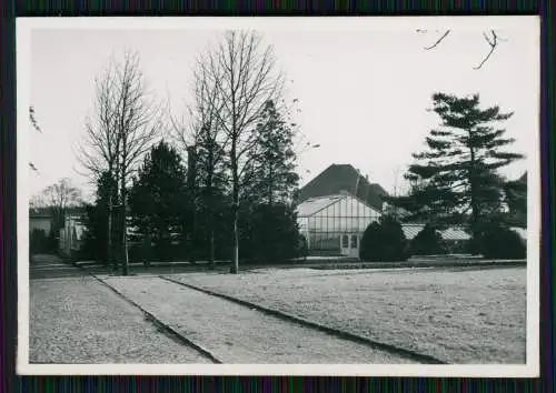 14x Foto Gärtnerei Gartenbaubetrieb Baumschule Park im Ruhrgebiet ? um 1940