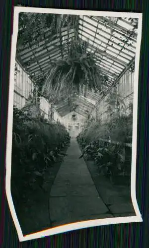 14x Foto Gärtnerei Gartenbaubetrieb Baumschule Park im Ruhrgebiet ? um 1940