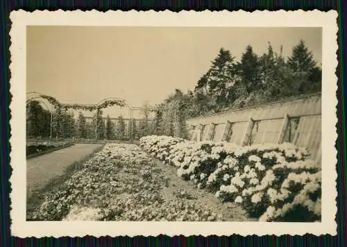 14x Foto Gärtnerei Gartenbaubetrieb Baumschule Park im Ruhrgebiet ? um 1940