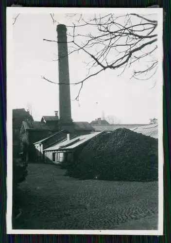 14x Foto Gärtnerei Gartenbaubetrieb Baumschule Park im Ruhrgebiet ? um 1940