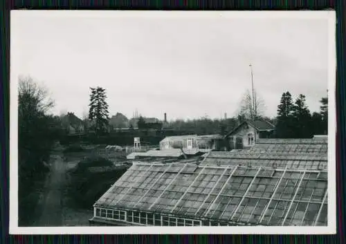 14x Foto Gärtnerei Gartenbaubetrieb Baumschule Park im Ruhrgebiet ? um 1940