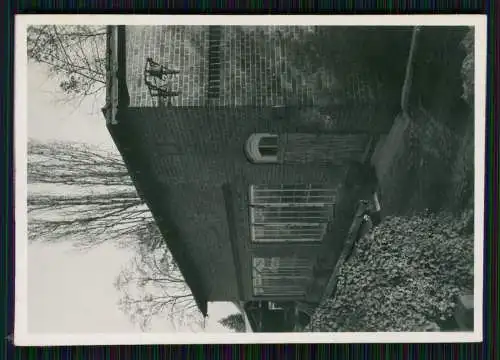 14x Foto Gärtnerei Gartenbaubetrieb Baumschule Park im Ruhrgebiet ? um 1940