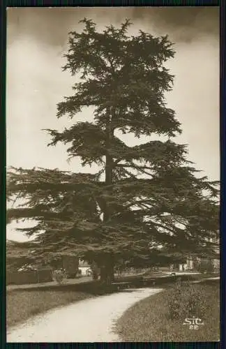 10x Foto AK Paris Rueil-Malmaison Château de la Petite Malmaison Hauts de Seine