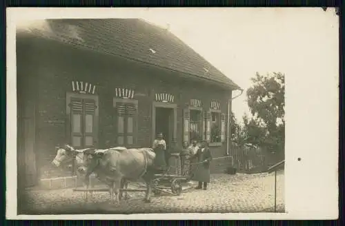 Foto AK Hausansicht Bauer Nußbaum Ackerpflug, Ochsen, Feldarbeit, Landwirt 1920