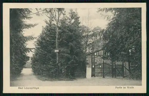 6x AK Bad Lippspringe bei Paderborn diverse Ansichten um 1920