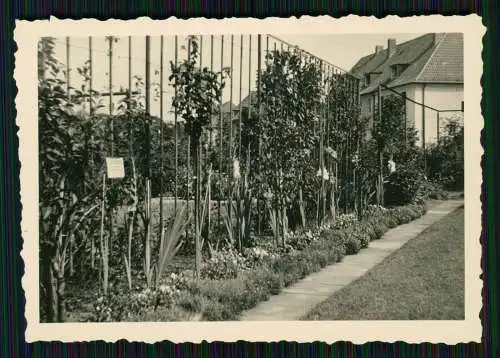 22x alte Fotos Ansichten unser Haus zuhause bei Hamburg 1936