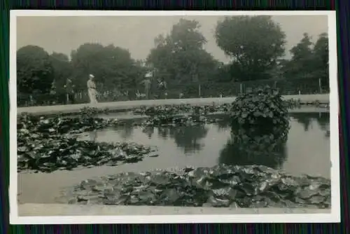 13x Foto alte Ansichten Antwerpen und Brüssel in Belgien