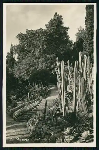 5x Foto AK La Mortola Liguria, Riviera di Ponente Italien