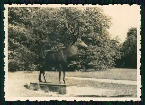 15x Foto Sanssouci Berlin Potsdam in Brandenburg Soldaten und andere Motive 1939