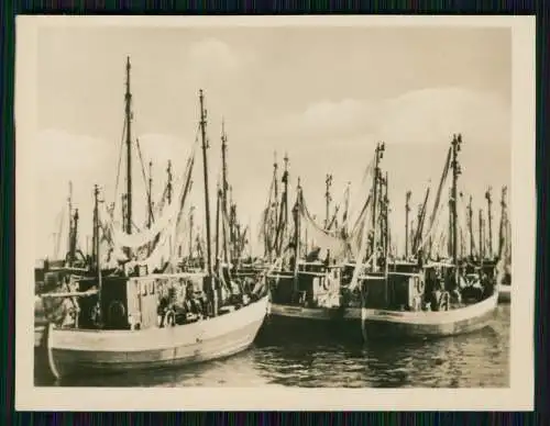 14x Foto Insel Rügen Mecklenburg-Vorpommern Ansichten um 1940