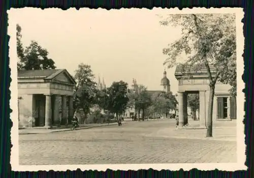 12 alte Foto Naumburg an der Saale Sachsen-Anhalt diverse Stadt uvm. Ansichten