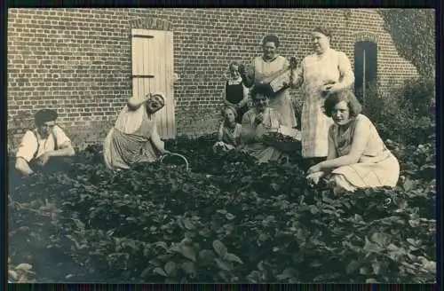 2x Foto AK Frauen beim Erdbeeren Pflücken in den Kriegsjahren 1939-41