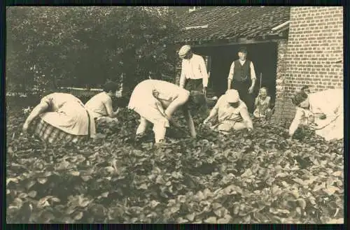 2x Foto AK Frauen beim Erdbeeren Pflücken in den Kriegsjahren 1939-41