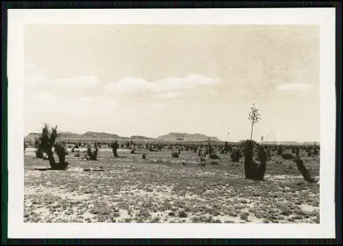 USA 14x Fotos Erlebnise Reise durch die Vereinigten Staaten von Amerika 1948-55