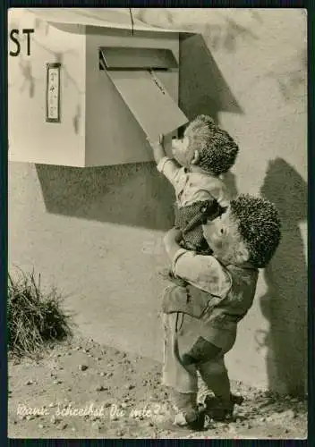 Foto AK Mecki wirft mit dem Sohn einen Brief ein und gratuliert Hör Zu Diehl gel