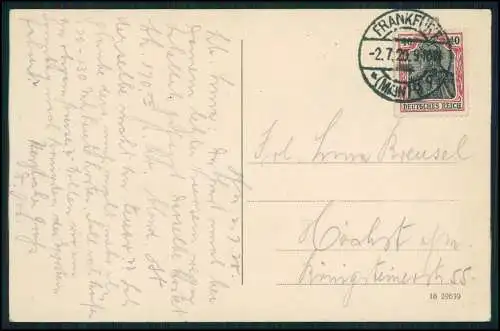 AK Frankfurt am Main Brückenmühle mit Insel 1920 gelaufen