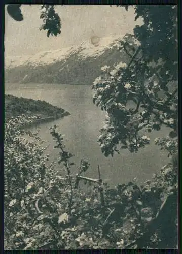 9x AK Norwegen, Norge diverse Ansichten um 1940 Beschreibung Rückseite