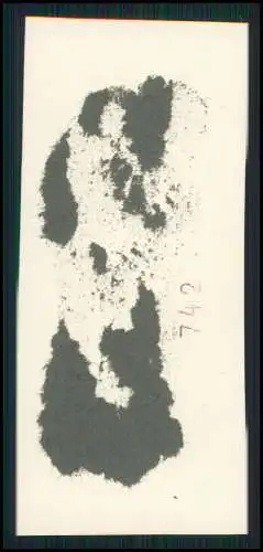 7x Foto 8x4cm fröhlich lachende Kinder mit Eltern uvm. Studiofotografie um 1940