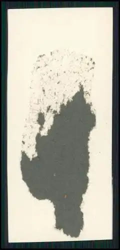 7x Foto 8x4cm fröhlich lachende Kinder mit Eltern uvm. Studiofotografie um 1940