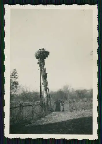 19x Foto Fritzlar Remsfeld Knüllwald Hessen diverse Ansichten 1936-40