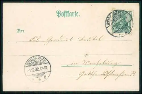 AK Litho Weißenfels Saalepartie mit Dampfschiff, Brücke 1902 gelaufen