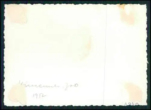 10x Foto Nachkriegs Reise nach Frankreich Rouen Honfleur uvm. 1952