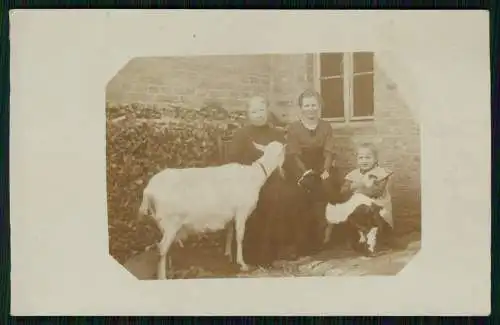 11x alte Foto AK unser Leben Zuhause Familie Tiere uvm diverse Aufnahmen 1910-20