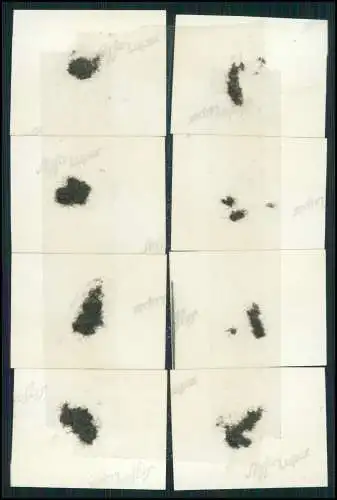 15x Foto 4x3cm Junge Jungs Wandern mit Rucksack und Zelt auch Segelflugzeug uvm.