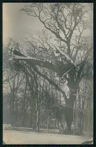 Foto 1. WK Flugzeug Aircraft im Baum 1914-18