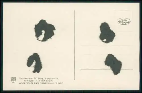 6x Foto und AK Reise Burg Hohenzollern Bisingen und Umgebung 1938