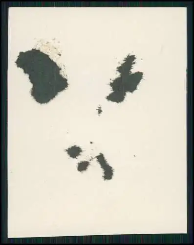 6x Foto und AK Reise Burg Hohenzollern Bisingen und Umgebung 1938