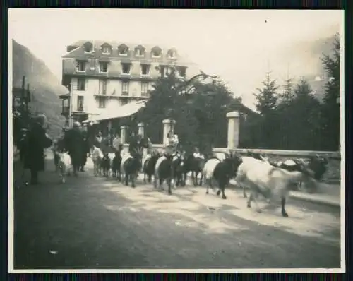 14x Foto Reise Bayern Österreich Tirol Italien Schweiz um 1920