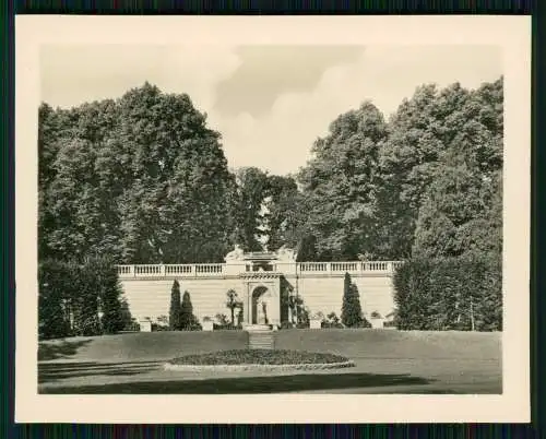 12x alte Foto Potsdam Sanssouci in Brandenburg diverse Ansichten 1936-39