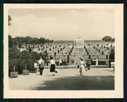 12x alte Foto Potsdam Sanssouci in Brandenburg diverse Ansichten 1936-39