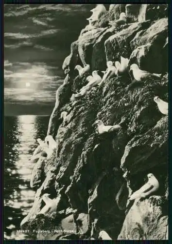 12x alte Foto und AK Ansichtskarte Norwegen Norge diverse Ansichten um 1940