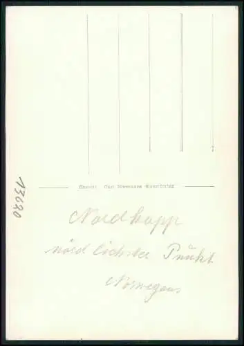 12x alte Foto und AK Ansichtskarte Norwegen Norge diverse Ansichten um 1940