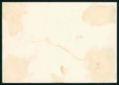 Foto 15x10cm Villa Margret Bleidenstadt Seitzenhahn Taunusstein Hessen 1930