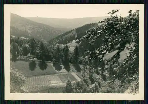 11x Foto Soldaten RAD Winter Arbeitseinsatz im Schwarzwald bei Freudenstadt ?