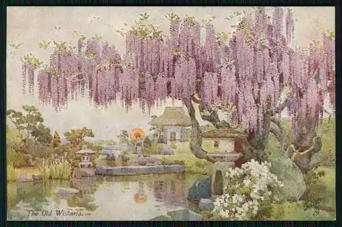 AK Künstler The Old Wistaria Flowers & Gardens of Japan Verlag - Tuck 7917