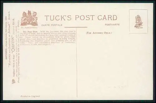 AK Künstler Japan Matsushma-Kiefer The Pine Tree - Verlag: Tuck 7916