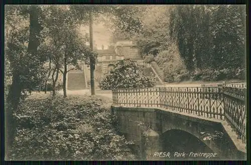 AK Riesa an der Elbe Sachsen Freitreppe im Stadtpark 1906 gelaufen